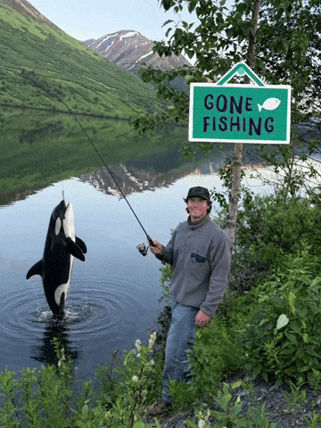 Fishing Orca GIF
