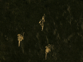 200.gif