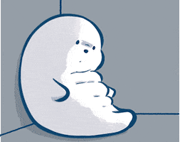 Sad Seal GIF