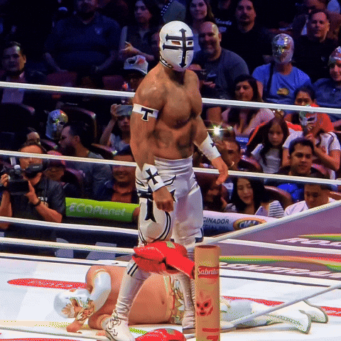 Lucha Libre Wrestling GIF