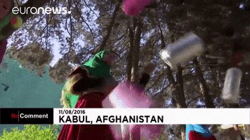 euronews circus afghanistan euronews no comment GIF