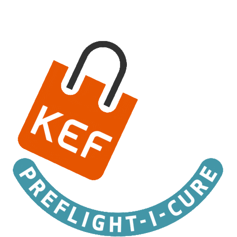 Travel Iceland Sticker