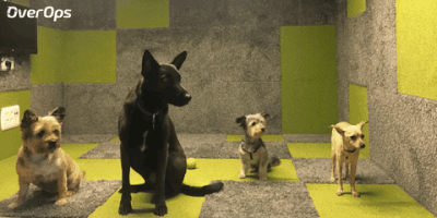 Office Dogs GIF by OverOps