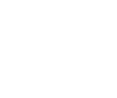 Body Health Sticker