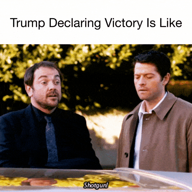 Election Day Trump GIF by Creative Courage