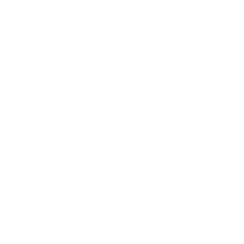 CIC Travel Sticker