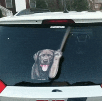 Chocolate Lab GIF by WiperTags Wiper Covers