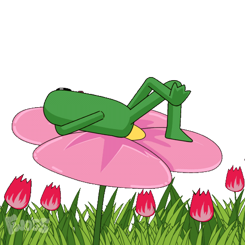 Sweet Dreams Frog Sticker by fwogs