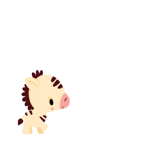 Cute Baby Zebra Gif