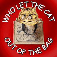 Cat In Bag GIF