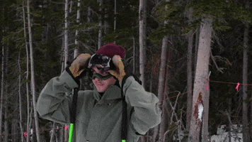 Snow Snowboarding GIF by Zeal Optics