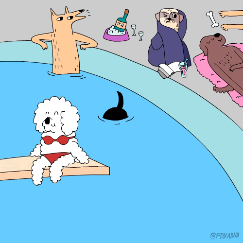 Kreslená pohyblivá animace s relaxujícími psy různých ras u bazénu. 