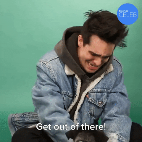 Get Out Ugh GIF by BuzzFeed
