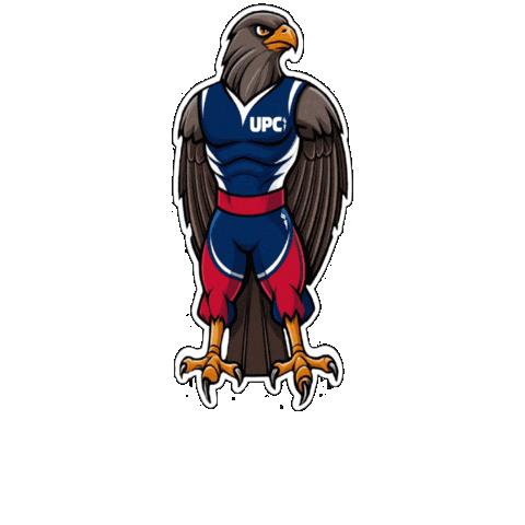 UPCPachuca Sticker