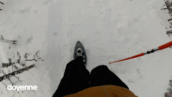 Doyenne Virtual Tours GIF