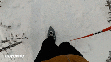 doyenne winter walking finland lapland GIF