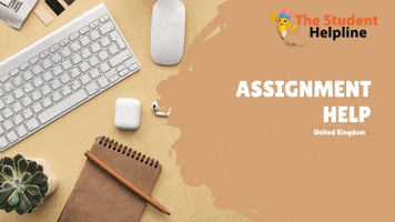 Assignment Help GIF