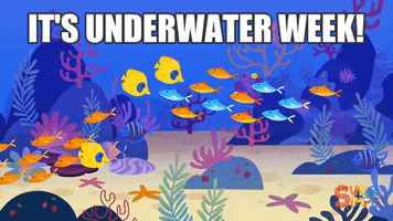 supersimplesongs supersimplelearning babyshark shark underwaterweek cute GIF by Super Simple