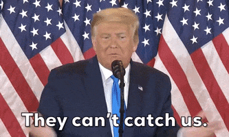 Donald Trump GIF by Election 2020