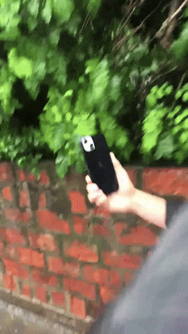 Sticker GIF