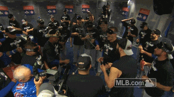 Chicago Cubs Celebration GIF by MLB