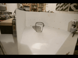 jeazeoner  GIF