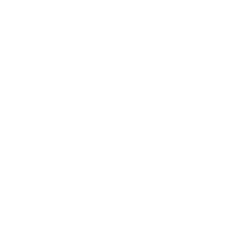 Miss Virginia Volunteer Sticker