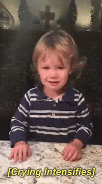 Toddler Tantrum GIFs - Get the best GIF on GIPHY