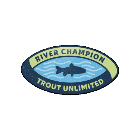 Fish Fishing Sticker by Trout Unlimited