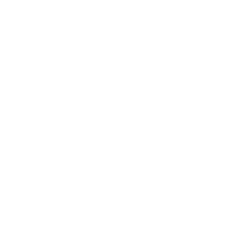 DeltaSonicCarWash Sticker