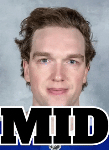 Tampa Bay Lightning Nhl GIF