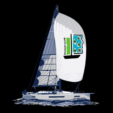 Sailing Team GIF by jakubwendler
