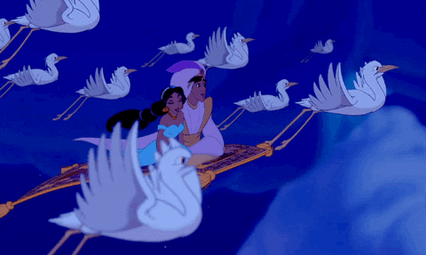 Aladdin and Princess Jasmine on a magic carpet with stern looking storks