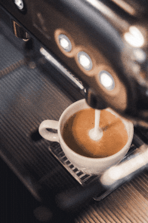 valanticaustria GIF