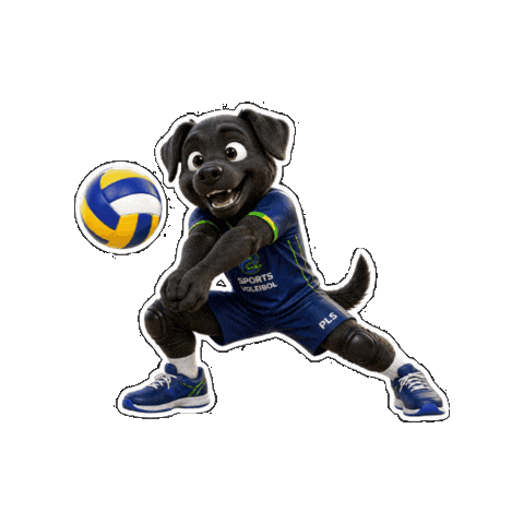 Volei Sticker by Colégio Américo Melo