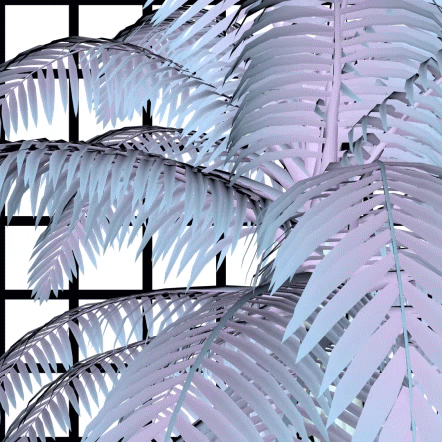 palm tree 3d GIF by Simon Falk