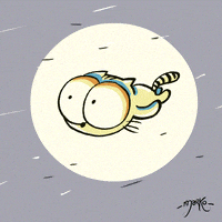 Cat Space GIF by marko