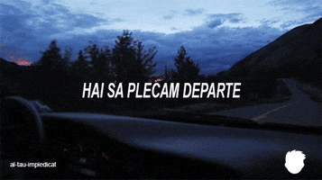 bipolar tumblr altauimpiedicat GIF