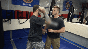 izvor-volk genge combat lab GIF