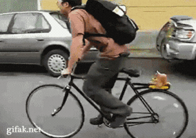 bozenaozynska  GIF