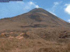 darwinestrada momotombo GIF