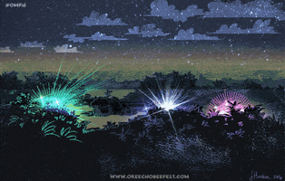 okeechobeefest dance music party lights GIF