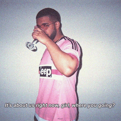 Drake Champaign Papi GIF