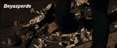 subahadr  GIF