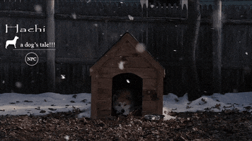 phucuong  GIF