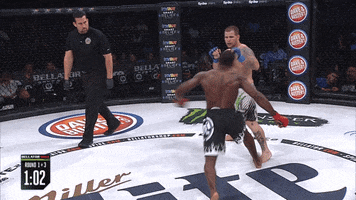 knock out falling GIF by Bellator