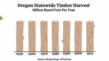 Oregon Timber GIF by Reveal