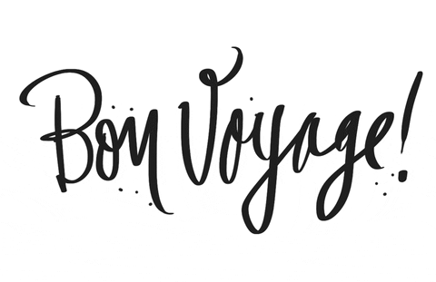 bon voyage trip GIF by Denyse