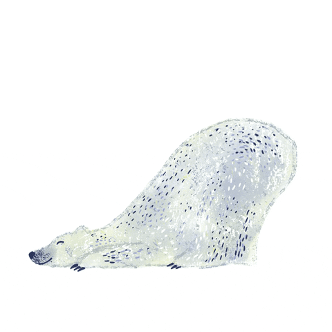 Polar Bear Dancing GIF by Martina Scott