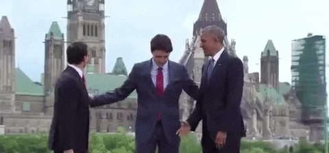 GIF by Mashable - Find & Share on GIPHY
